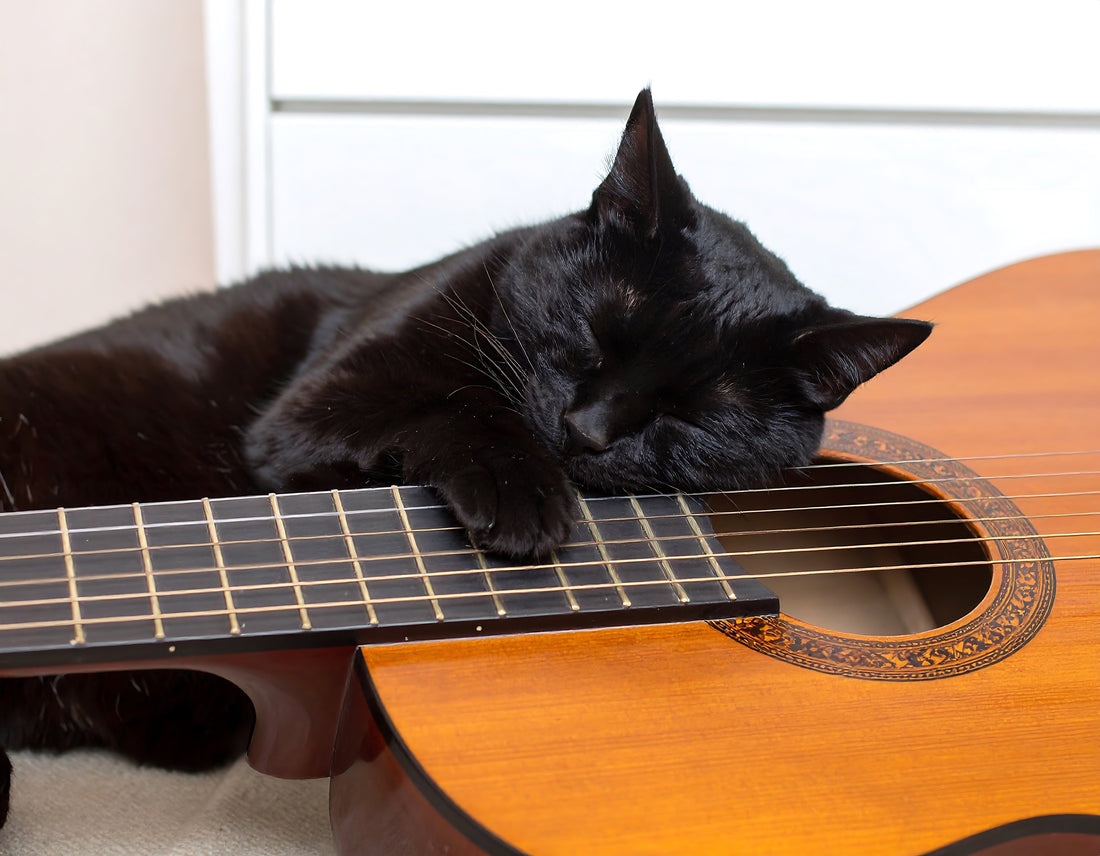 The Surprising Power of Sound: Using Audio to Fall Asleep Faster